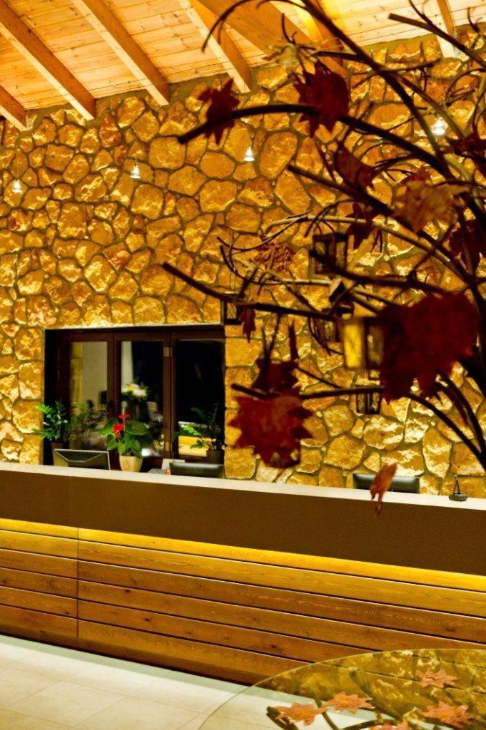 Pliadon Gi Mountain Resort & Spa Kato Sinikia Trikalon Exteriér fotografie